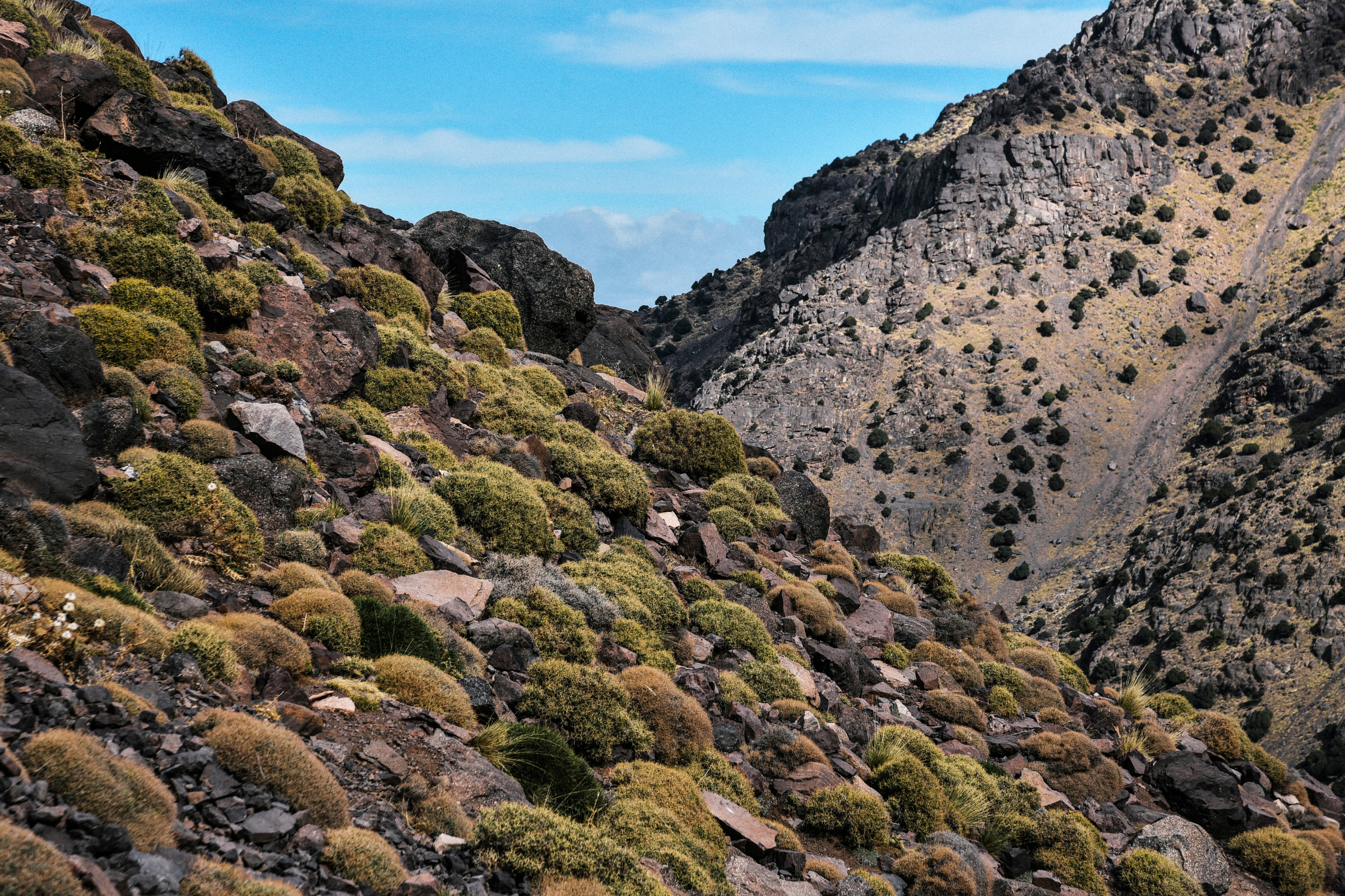mount toubkal base camp (3).webp